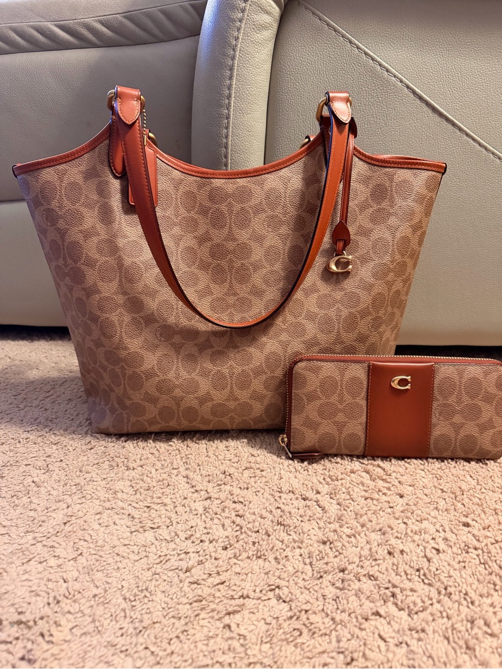 Coach Signature Canvas Day Tote in Brown with matching Wallet Set